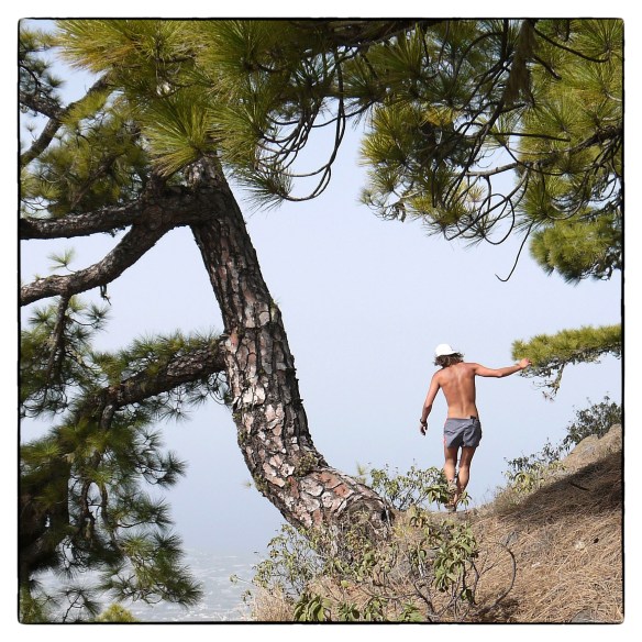 Iancorless_transvulcania_185