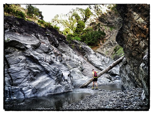 iancorless.comIMGP0736