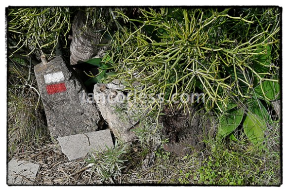 Follow the GR markers