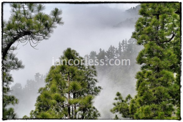 Running through the cloud was incredible