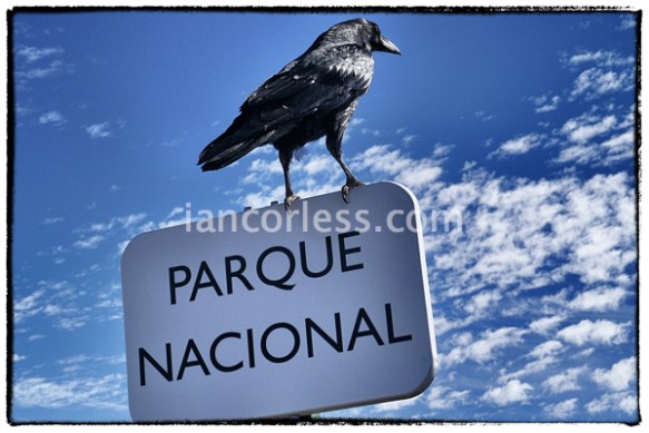 iancorless.comP1030533