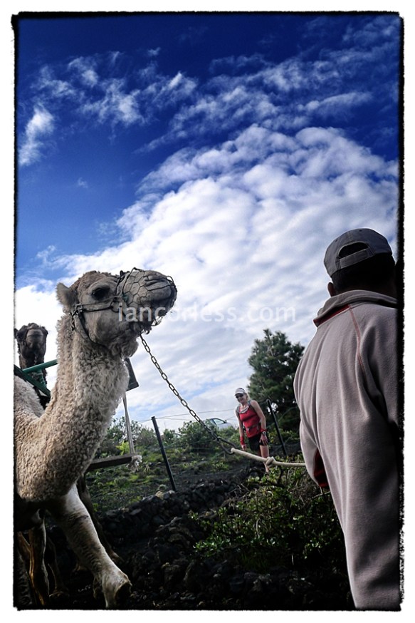 iancorless.comP1030825