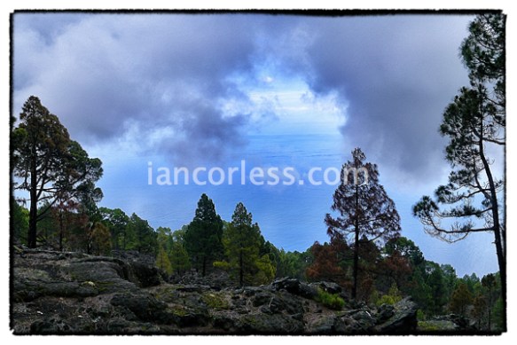 iancorless.comP1030867