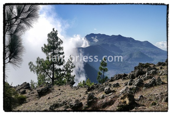 iancorless.comP1030949