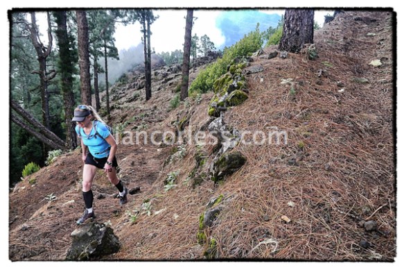 iancorless.comP1030957