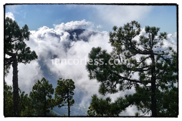 iancorless.comP1040029