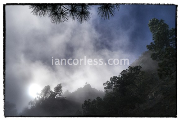 iancorless.comP1040067