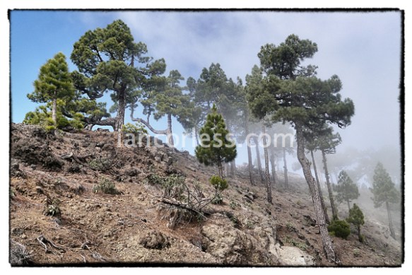 iancorless.comP1040096