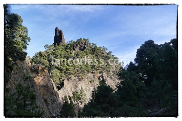 iancorless.comP1040440