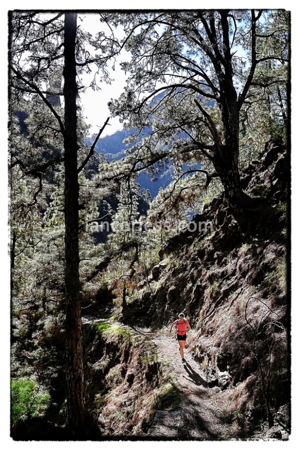 iancorless.comP1040493