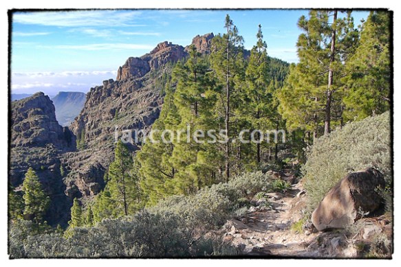 iancorless.comP1000367