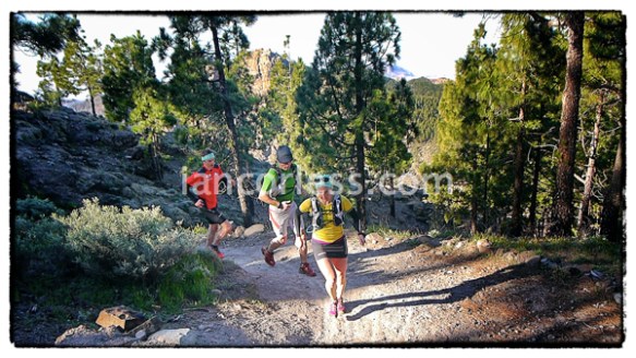 iancorless.comP1000468