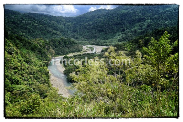 iancorless.comP1050258