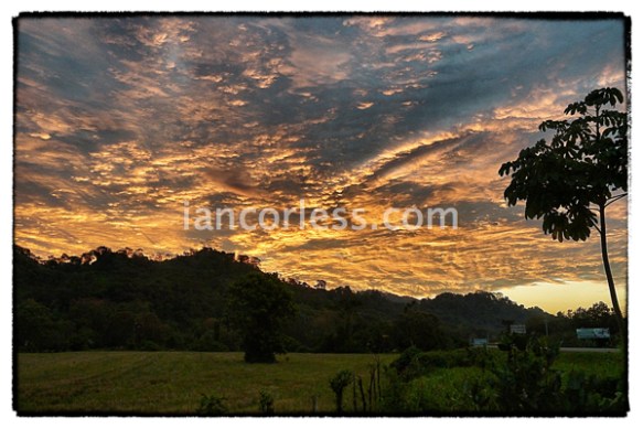 iancorless.comP1050398