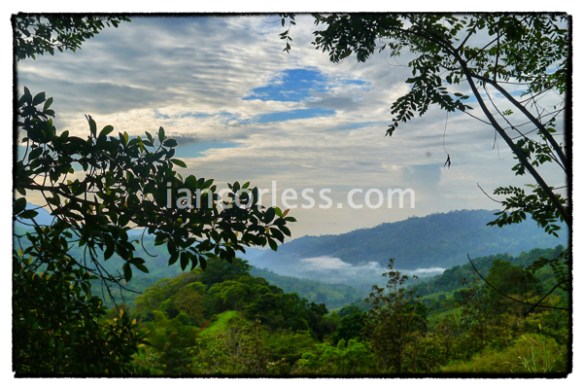 iancorless.comP1050432