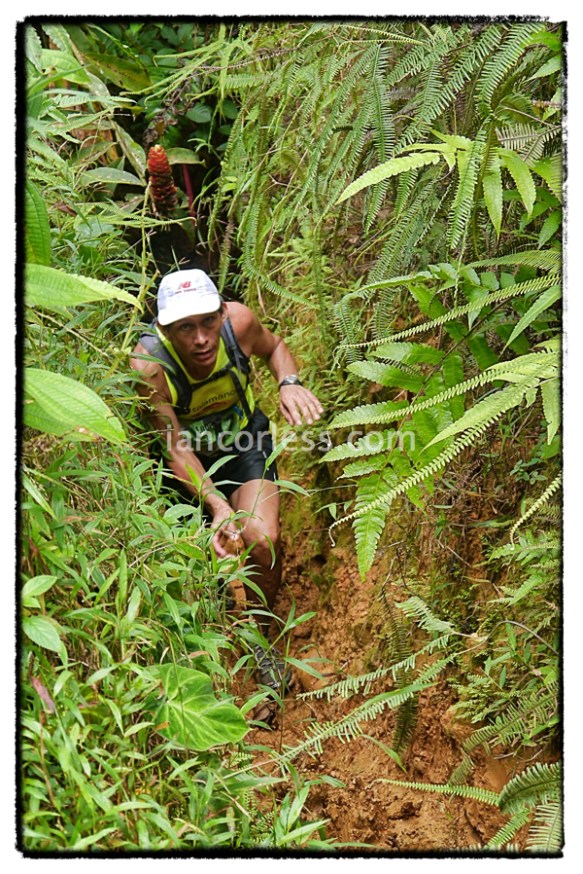 iancorless.comP1050500