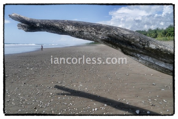 iancorless.comP1050938