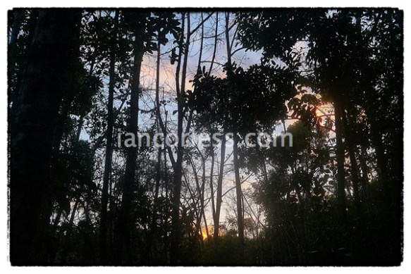 iancorless.comP1060033