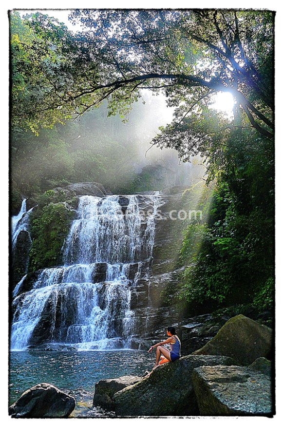 iancorless.comP1060239