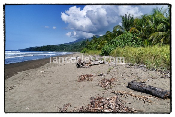 iancorless.comP1060370