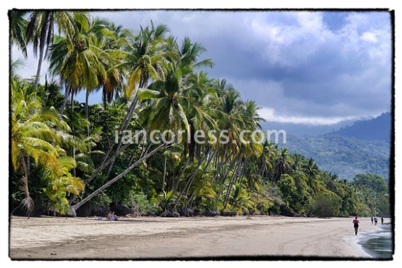 iancorless.comP1060453