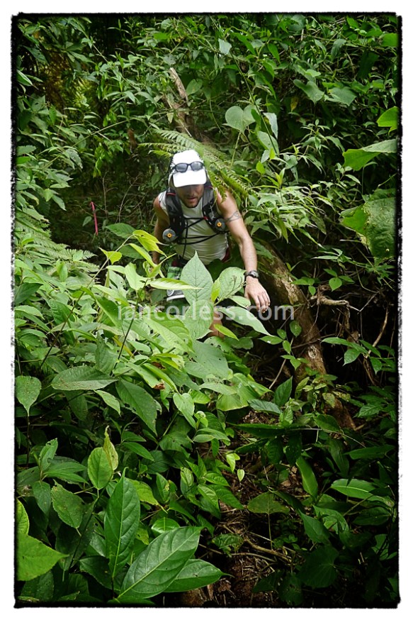 iancorless.comP1060595