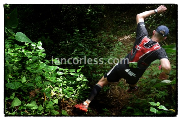 iancorless.comP1060619