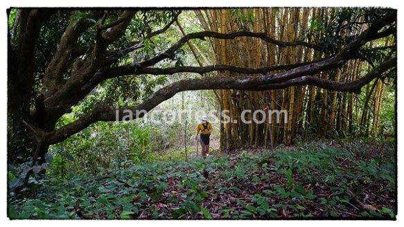 iancorless.comP1060627