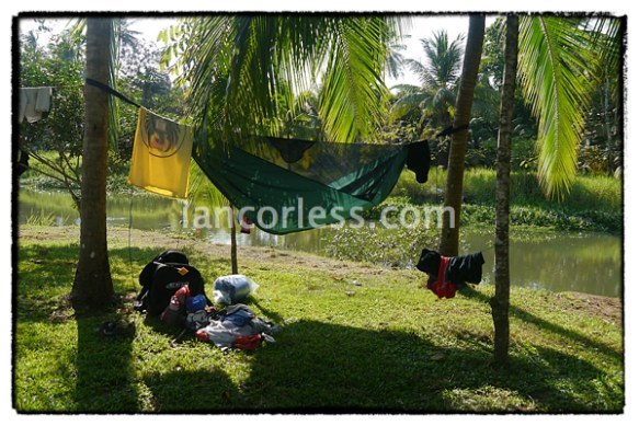 iancorless.comP1060685