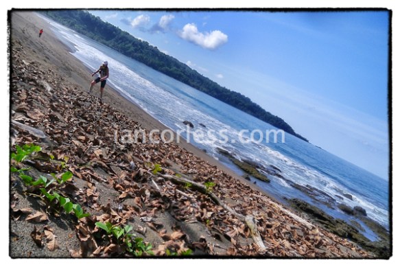 iancorless.comP1070090