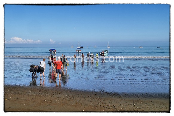 iancorless.comP1070293