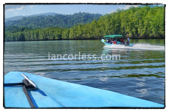 iancorless.comP1070344