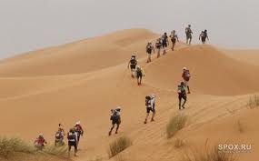 Marathon des Sables