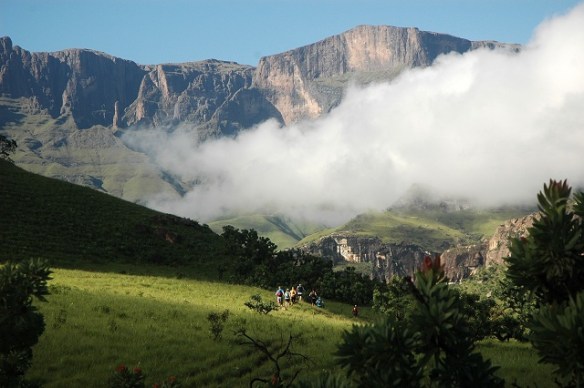 copyright Andrew Booth