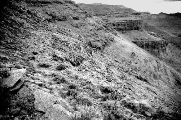 copyright Andrew Booth