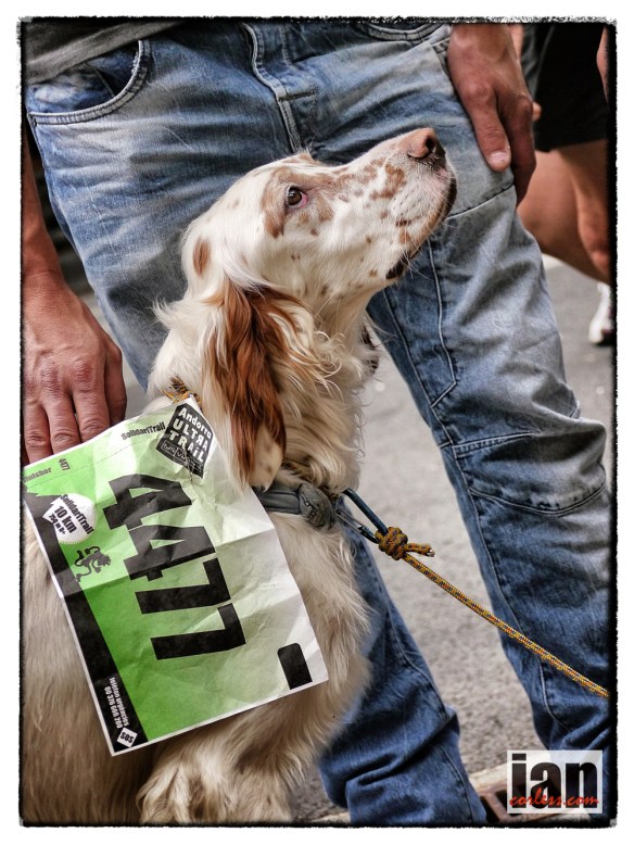 ©copyright .iancorless.com.P1130086