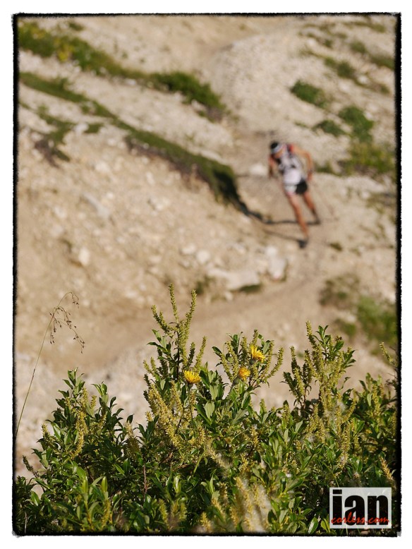 ©copyright .iancorless.com.P1170577