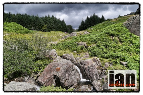 ©iancorless.com_1160478