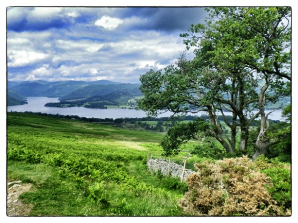 iancorless.orgIancorless020