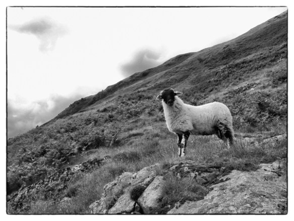 iancorless.orgIancorless104