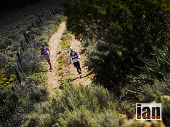 ©copyright .iancorless.com._1090111