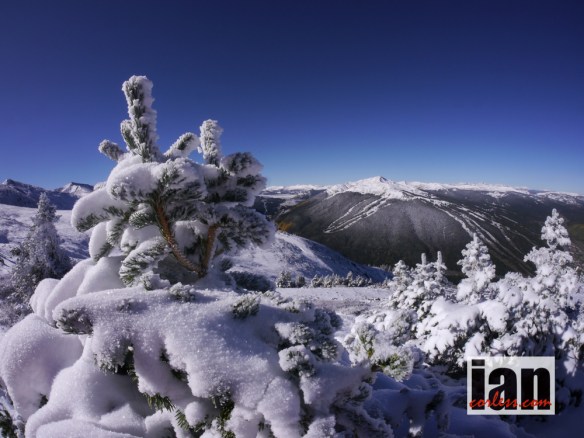 ©copyright .iancorless.com.P1190949