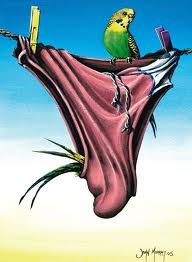 thewildreed.blogspot.com ©thewildreed.blogspot.com 