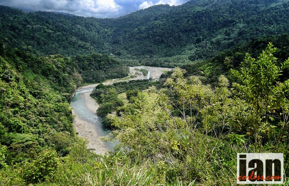 ©copyright .iancorless.com.P1050258