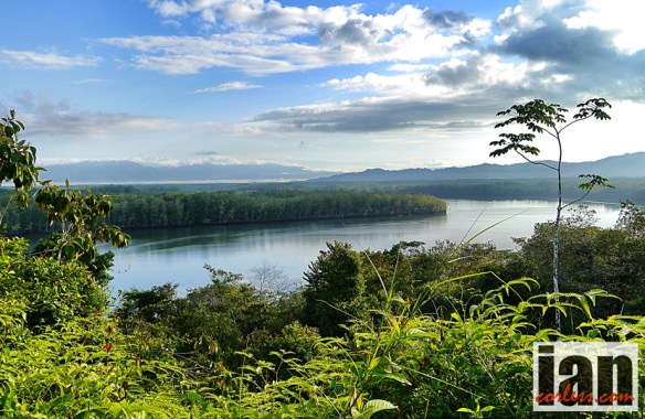 ©copyright .iancorless.com.P1060802