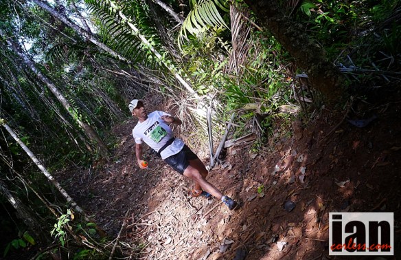 ©copyright .iancorless.com.P1060809