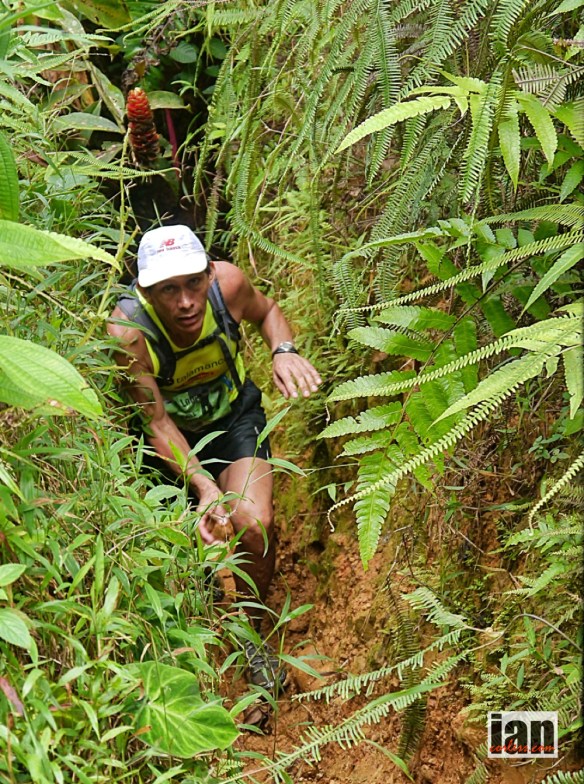 ©iancorless.com.©copyright .iancorless.com.P1050500