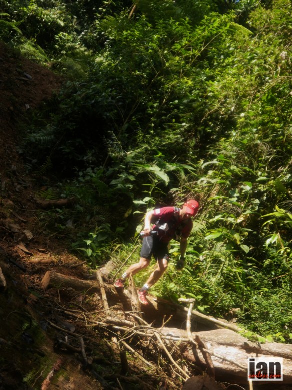 ©iancorless.com.P1130132