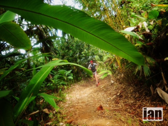 Reiter TCC2014 ©iancorless.com