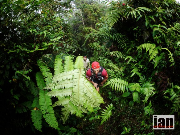 Clark and Beneito TCC2014 ©iancorless.com